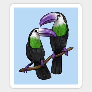 Genderqueer Toucans Magnet